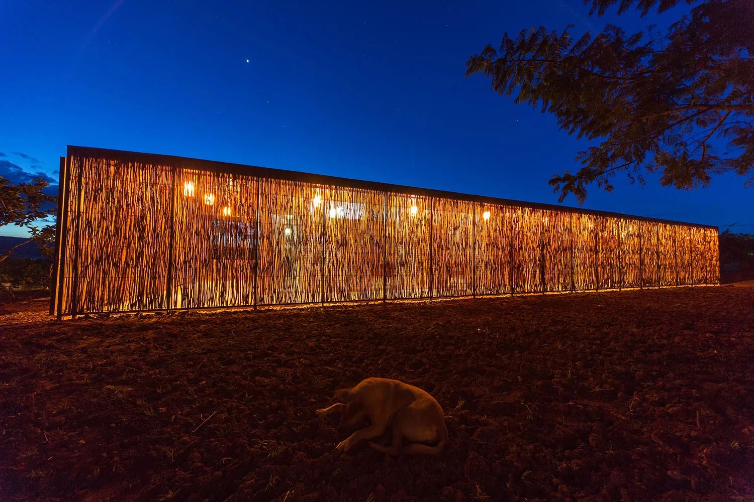 WhatsApp Image 2025-07-24 at 09.40.53_ef01b9e4